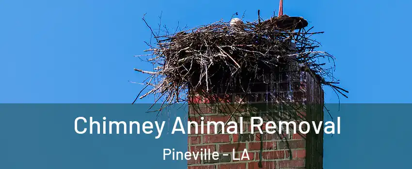  Chimney Animal Removal Pineville - LA
