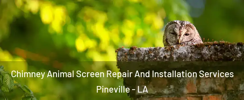  Chimney Animal Screen Repair And Installation Services Pineville - LA