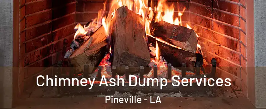  Chimney Ash Dump Services Pineville - LA