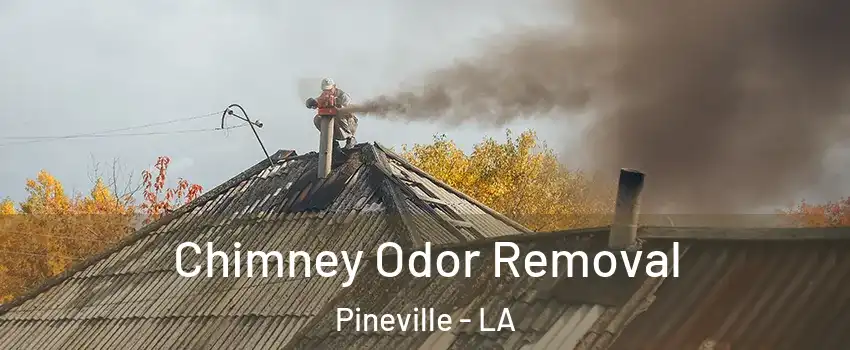  Chimney Odor Removal Pineville - LA