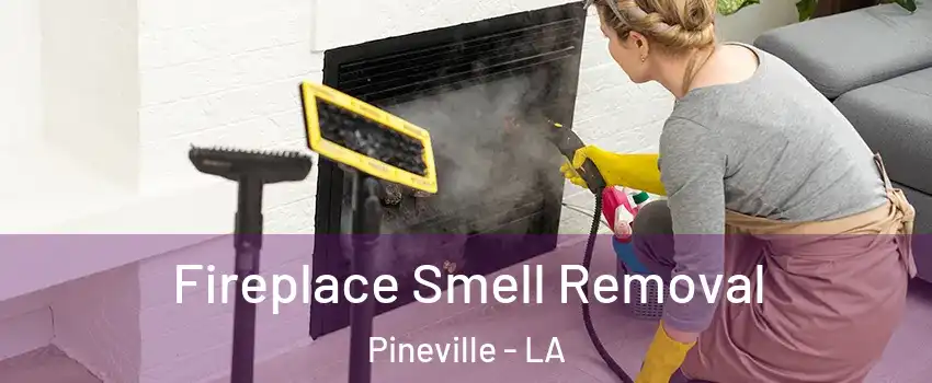  Fireplace Smell Removal Pineville - LA