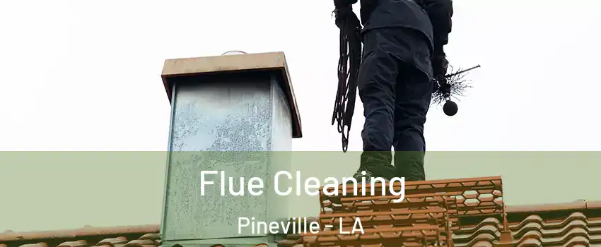  Flue Cleaning Pineville - LA