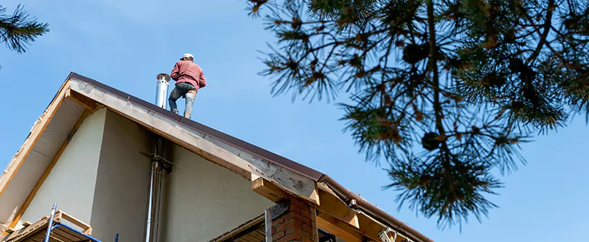 Birds Removal Contractors from Chimney in Pineville, LA