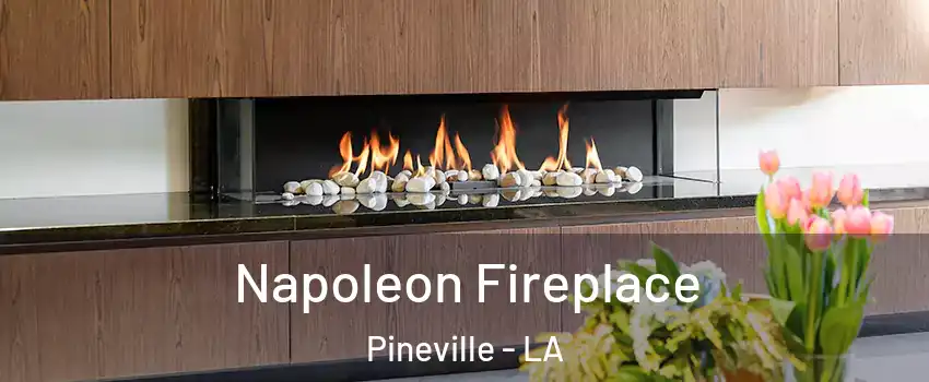  Napoleon Fireplace Pineville - LA
